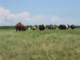 2464 County Rd 1245 - Photo 16