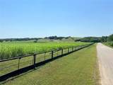 88.46 acres Parker Hill Road - Photo 25