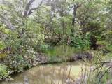 TBD Finis Road - Photo 14