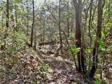 TBD Finis Road - Photo 9