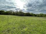 1037 Gonzollas Road - Photo 3