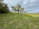 1037 Gonzollas Road - Photo 5