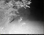 TBD 3rd Street - Photo 29