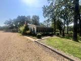 502 Peach Tree Road - Photo 6