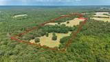 43 Acres Fm 69 - Photo 6