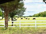 8690 Fm 922 Highway - Photo 2