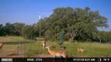 502 County Road 194 - Photo 38