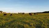 502 County Road 194 - Photo 5