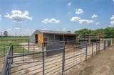 27403 State Highway 56 - Photo 14