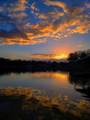 1180 Fm 3201 - Photo 38