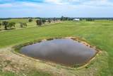 9208 Fm 17 89 Acres - Photo 2