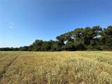 87 Acres Fm 269 - Photo 13