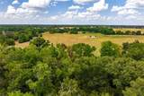 87 Acres Fm 269 - Photo 19