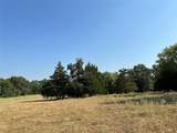 87 Acres Fm 269 - Photo 22
