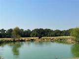 87 Acres Fm 269 - Photo 7