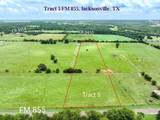 Tract 5 Fm 855 - Photo 1