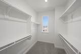 4606 White Buffalo Trail - Photo 24