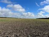 TBD Cr 117 Road - Photo 13