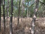 TBD Cr 117 Road - Photo 14