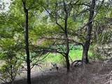 TBD Cr 117 Road - Photo 15