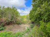 TBD Cr 117 Road - Photo 17