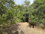 TBD Cr 117 Road - Photo 19