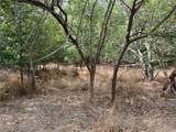 TBD Cr 117 Road - Photo 20