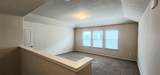 1209 Nocona Drive - Photo 14