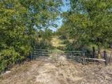 tbd Fm-429 Road - Photo 12