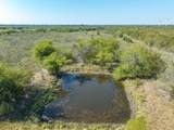 tbd Fm-429 Road - Photo 22