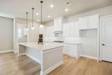 1117 Painted Lady Drive - Photo 9