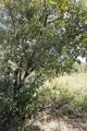 TBD LOT 1 County Road 2005 - Photo 4