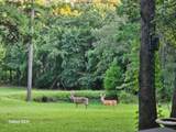 4491 Fm 2869 - Photo 1