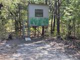 TBD 10 ACRES County Road 3055 - Photo 21