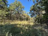 TBD 10 ACRES County Road 3055 - Photo 27