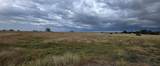 A0801 Custer Road - Photo 30