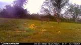 322 Hcr 2320 - Photo 40