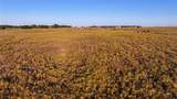 TBD 104 Acres Fm 103 - Photo 21