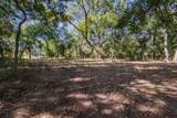 342 Tatanka Trail - Photo 10