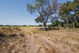 342 Tatanka Trail - Photo 17