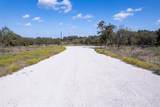 342 Tatanka Trail - Photo 8