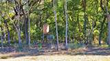 000 Bee Creek Road - Photo 5