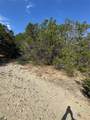 TBD Cr 304 Road - Photo 6