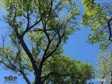 Lot 64 Camden Lane - Photo 8