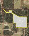 469 County Road 464 - Photo 5