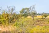 4045 County Road 212 - Photo 9