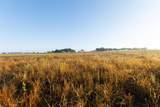 TBD Brushy Road - Photo 10