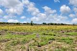 TBD Wilson Road - Photo 14