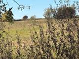 13.8 Acres / Tract 6 Winn Road - Photo 3