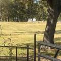 5047 N Fm 17 - Photo 13